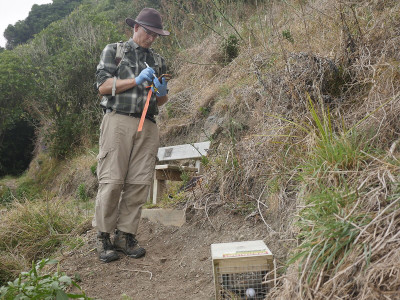 Checking traps